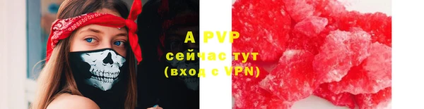 ALPHA PVP Корсаков