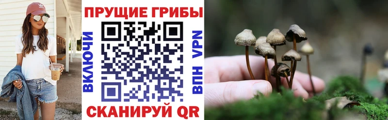 Псилоцибиновые грибы ЛСД  Называевск 